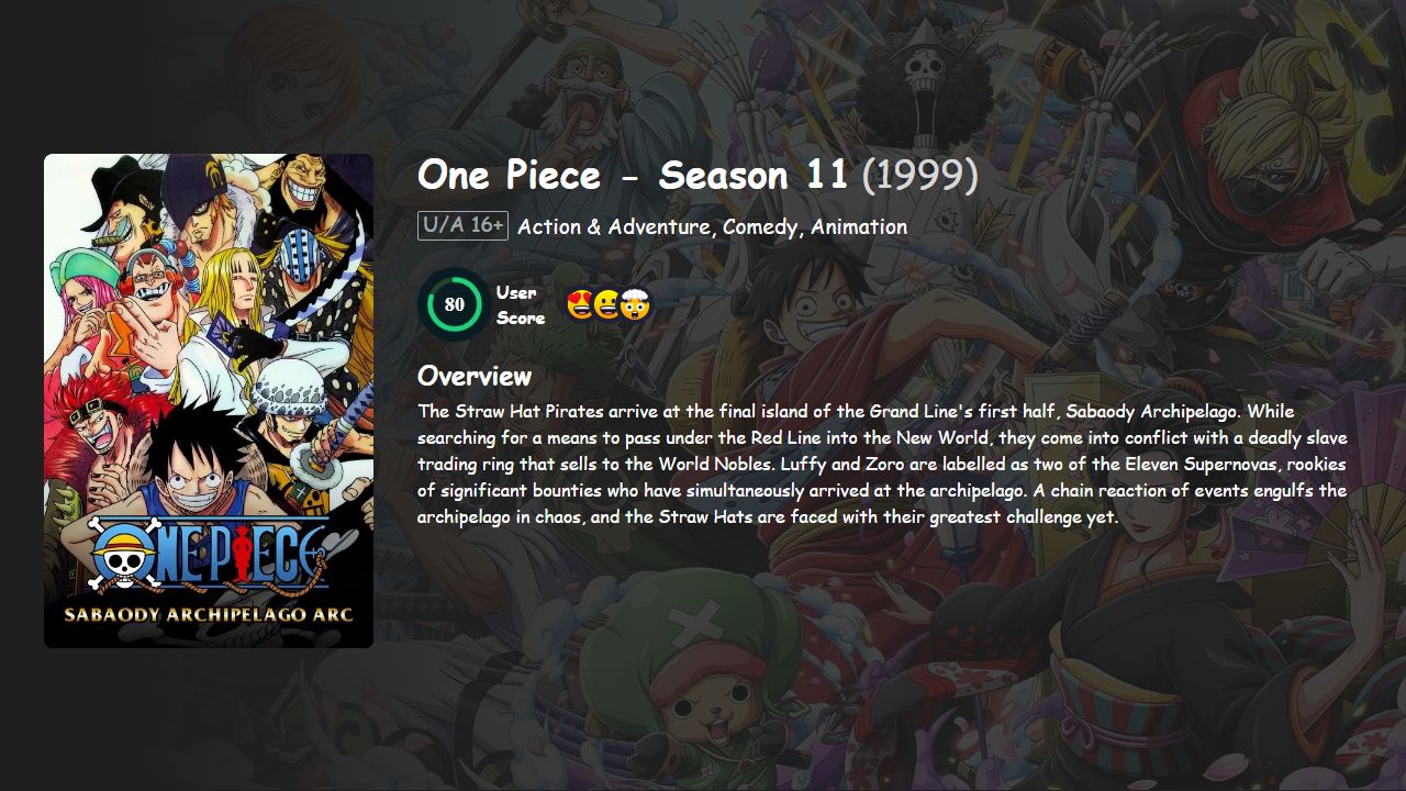 One Piece Season 11 English-Japanese Dubbed