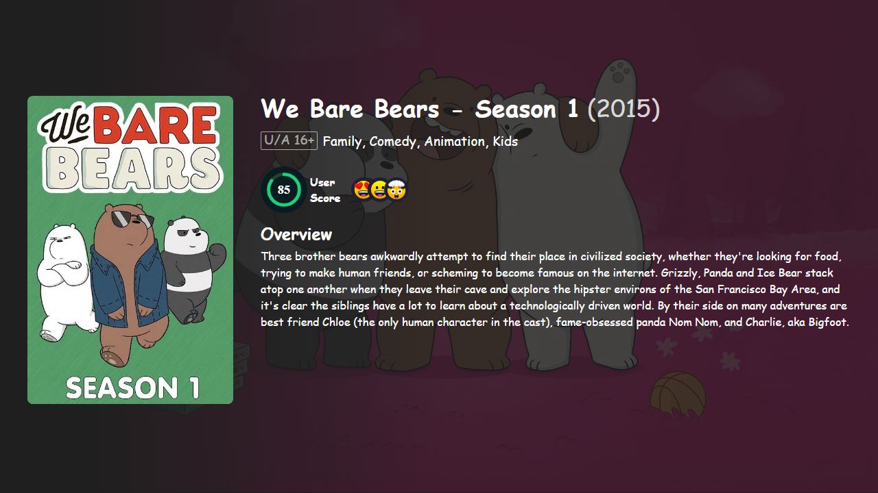 We Bare Bears Season 1 Hindi-English Dubbed