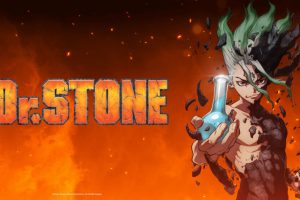 Dr. Stone