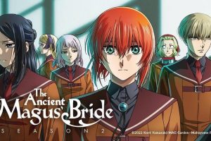 The Ancient Magus' Brid